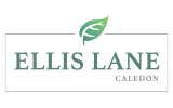 Ellis Lane