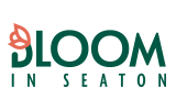 Bloom in Seaton