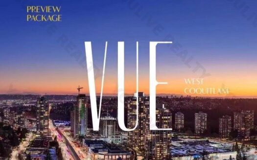 VUE